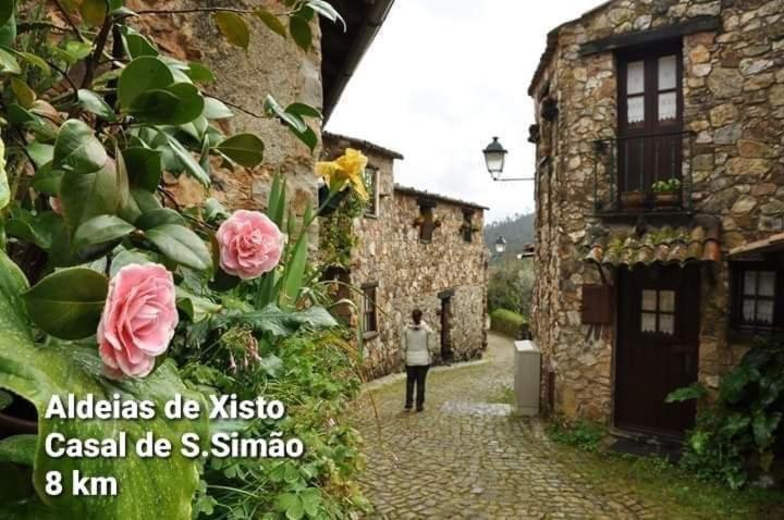 Casa Da Vila フィゲイロー・ドス・ヴィーニョス エクステリア 写真
